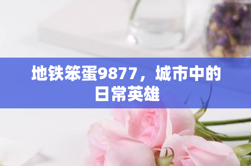 地铁笨蛋9877图片