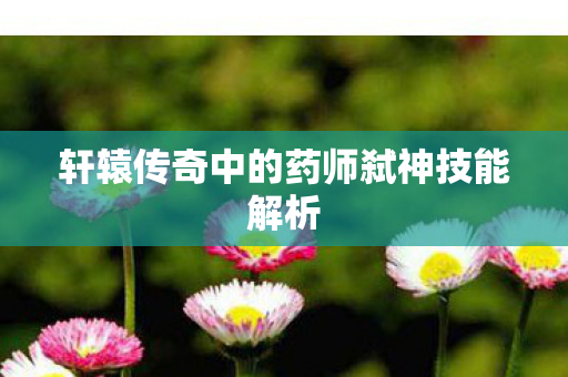 轩辕传奇中的药师弑神技能解析图片