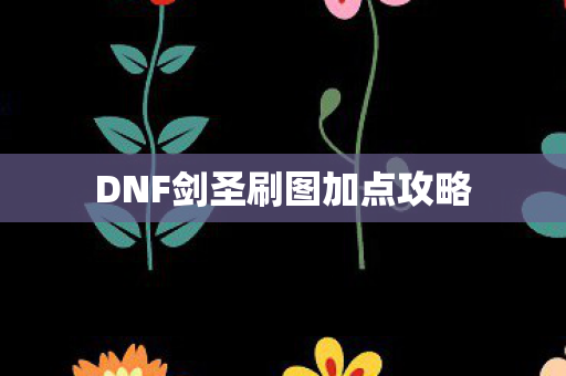 DNF剑圣刷图加点攻略图片