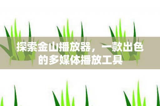 一款出色的多媒体播放工具图片