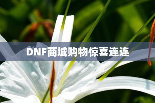 DNF商城购物惊喜连连图片