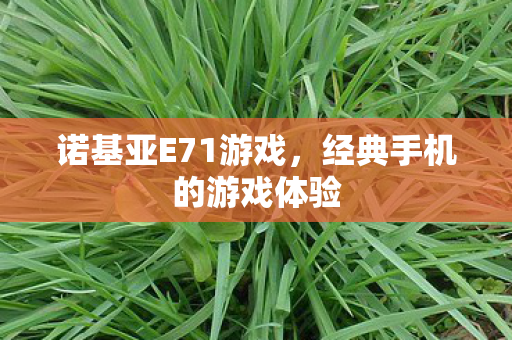 经典手机的游戏体验图片
