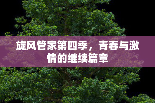 青春与激情的继续篇章图片