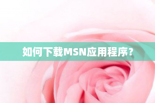 如何下载MSN应用程序图片