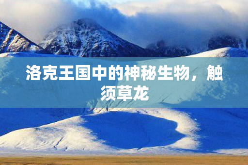 洛克王国中的神秘生物图片