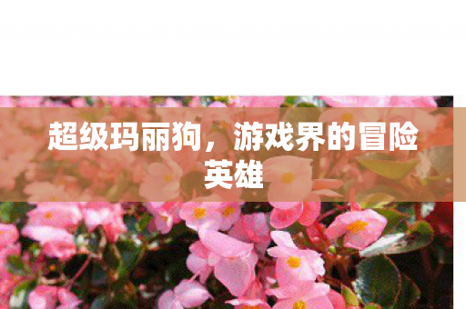 游戏界的冒险英雄图片