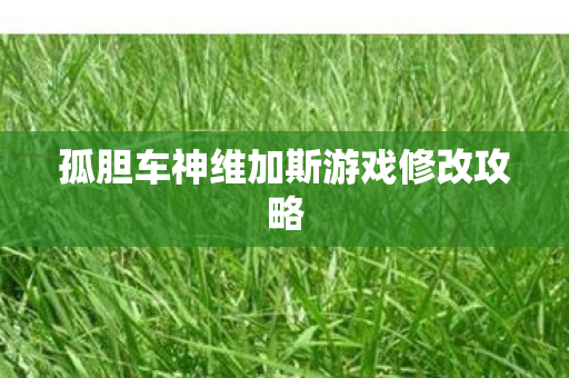 孤胆车神维加斯游戏修改攻略图片