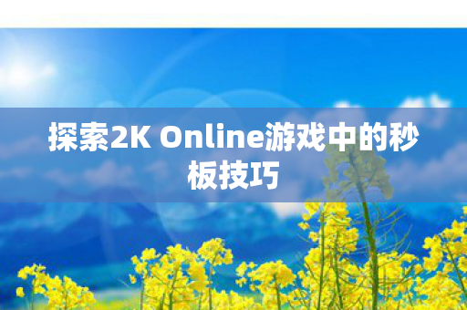 探索2K Online游戏中的秒板技巧图片