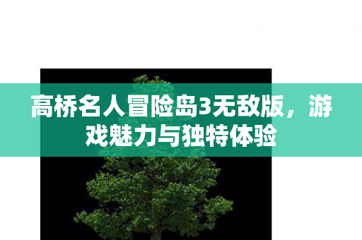 高桥名人冒险岛3无敌版图片