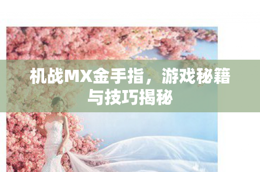 游戏秘籍与技巧揭秘图片