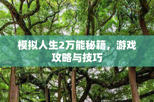 模拟人生2万能秘籍图片