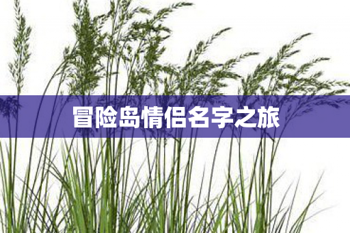 冒险岛情侣名字之旅图片