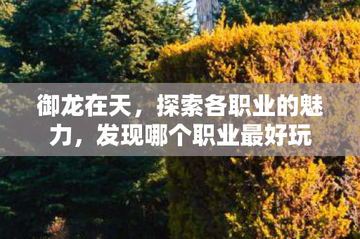 发现哪个职业最好玩图片