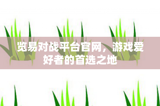游戏爱好者的首选之地图片