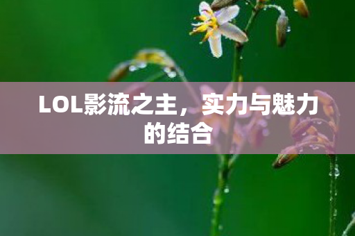 实力与魅力的结合图片