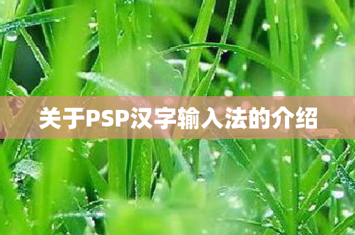 关于PSP汉字输入法的介绍图片