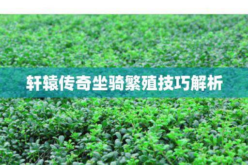 轩辕传奇坐骑繁殖技巧解析图片