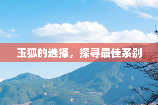 探寻最佳系别图片