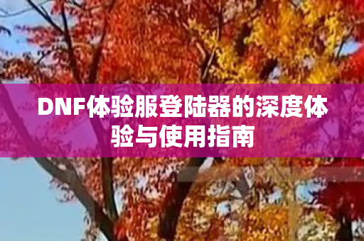 DNF体验服登陆器的深度体验与使用指南图片