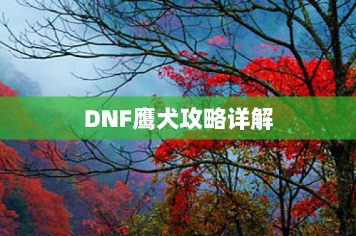 DNF鹰犬攻略详解图片