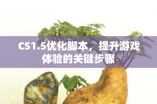 提升游戏体验的关键步骤图片