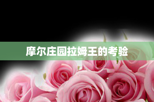 摩尔庄园拉姆王的考验图片