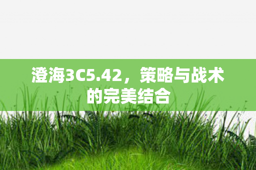 策略与战术的完美结合图片