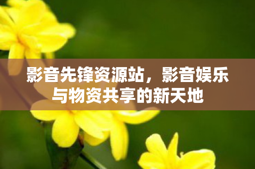 影音娱乐与物资共享的新天地图片