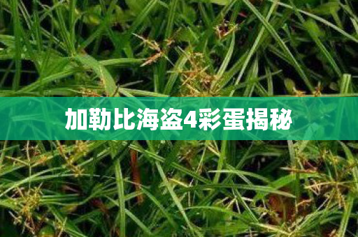 加勒比海盗4彩蛋揭秘图片