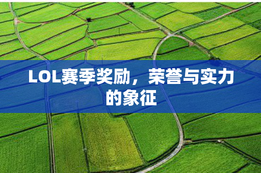 荣誉与实力的象征图片