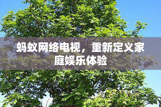 重新定义家庭娱乐体验图片