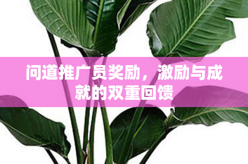 激励与成就的双重回馈图片