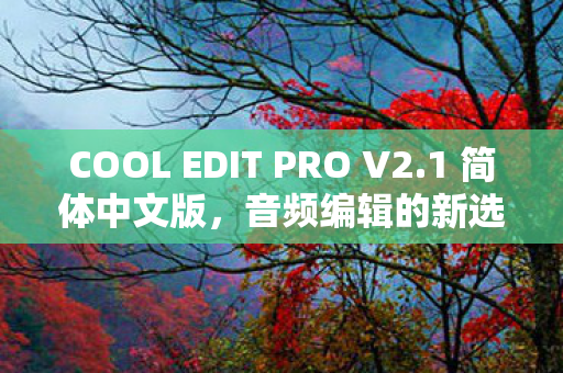 COOL EDIT PRO V2图片