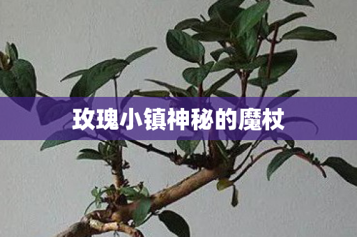 玫瑰小镇神秘的魔杖图片