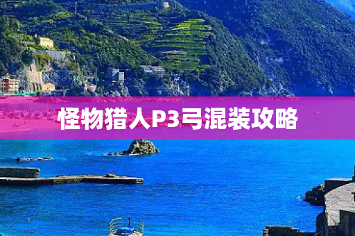 怪物猎人P3弓混装攻略图片