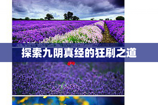 探索九阴真经的狂刷之道图片