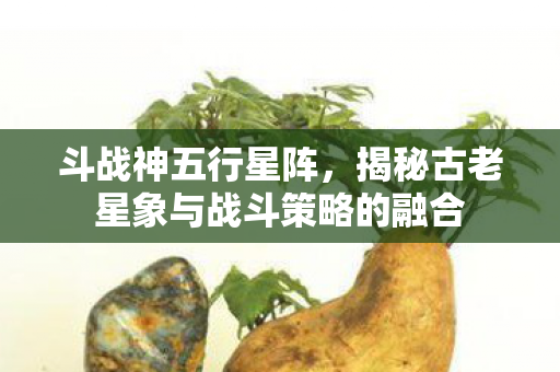 揭秘古老星象与战斗策略的融合图片