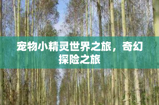 宠物小精灵世界之旅图片