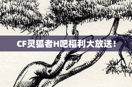 CF灵狐者H吧福利大放送图片
