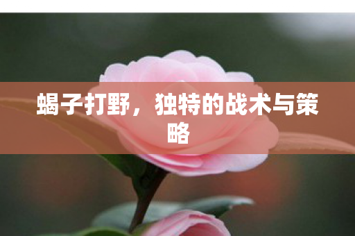 独特的战术与策略图片