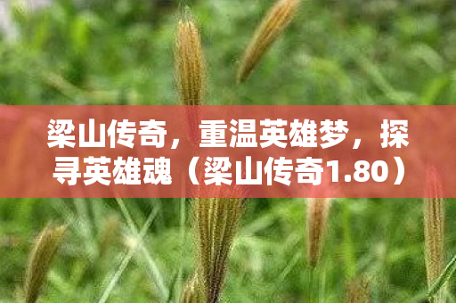 重温英雄梦图片
