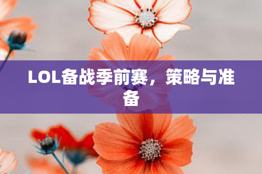LOL备战季前赛图片