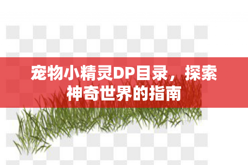 宠物小精灵DP目录图片