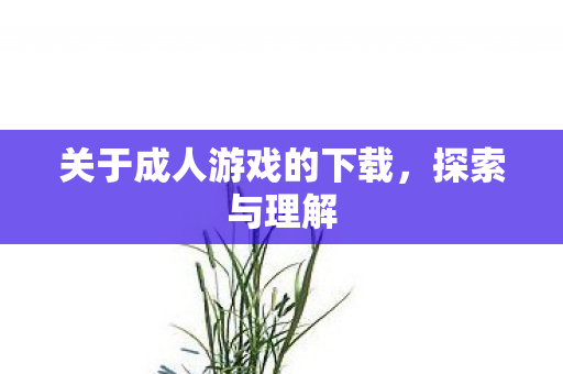 关于成人游戏的下载图片