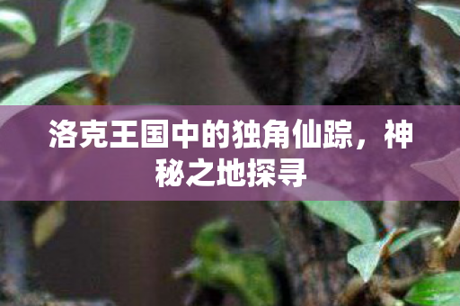 洛克王国中的独角仙踪图片