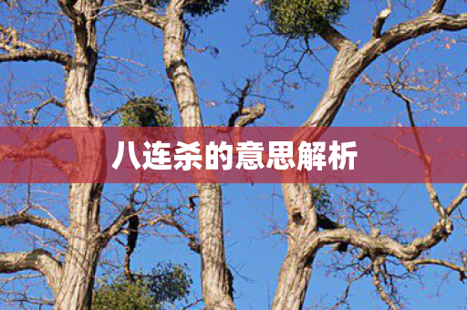 八连杀的意思解析图片
