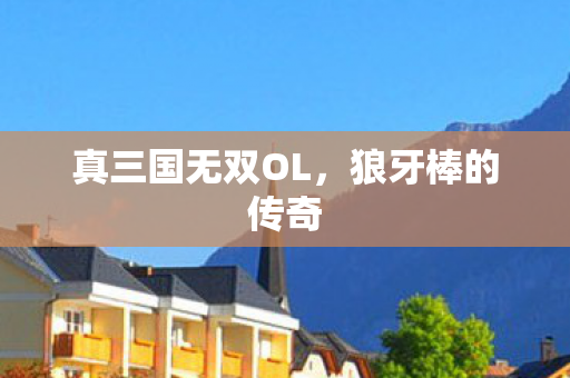真三国无双OL图片