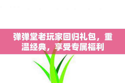 弹弹堂老玩家回归礼包图片