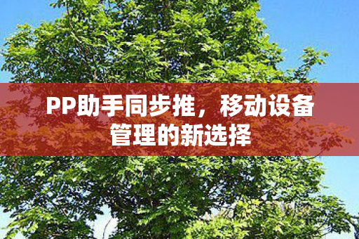移动设备管理的新选择图片