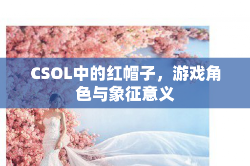 CSOL中的红帽子图片